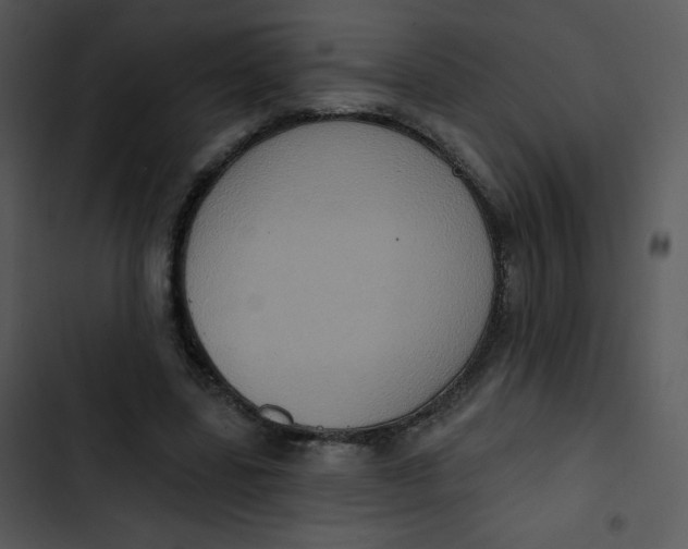 X0000102810539200809081110