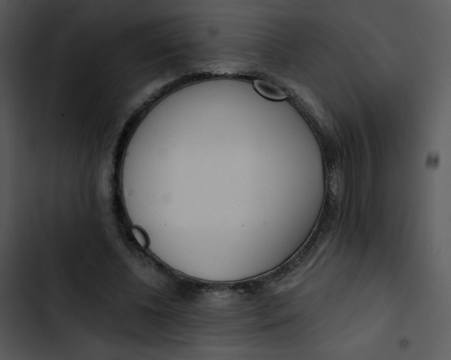 X0000102810540200809081110