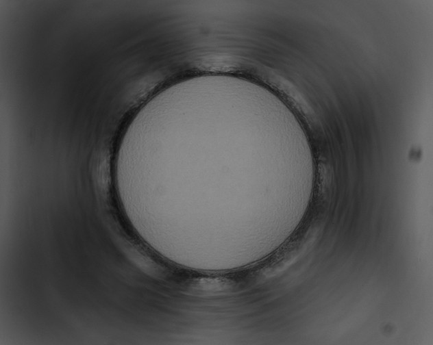 X0000102810541200809081111