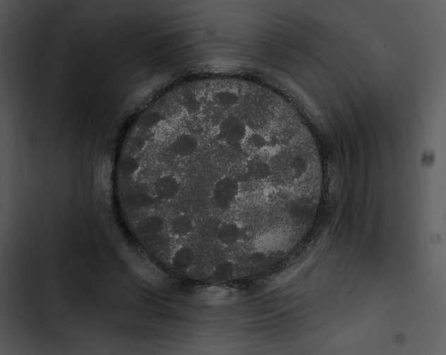 X0000102810542200809081111