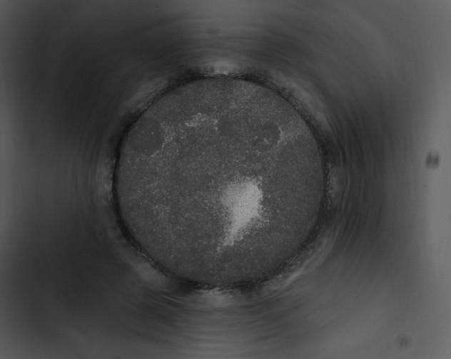 X0000102810545200809081111