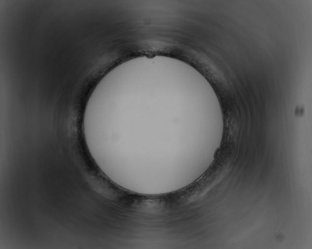 X0000102810546200809081111