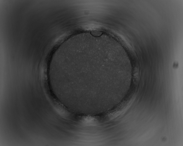 X0000102810547200809081111