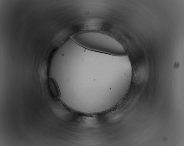 X0000102810552200809081111