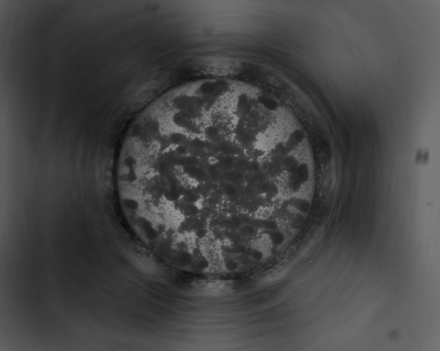 X0000102810553200809081111