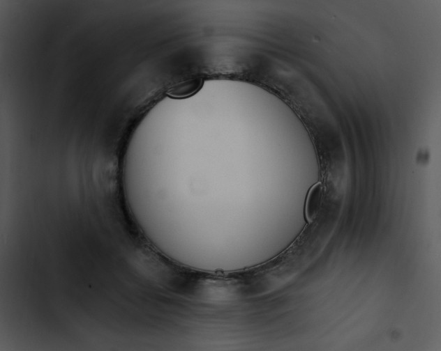 X0000102810556200809081111