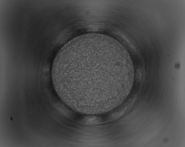 X0000102810557200809081111