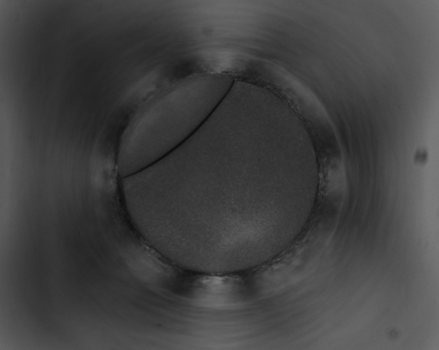 X0000102810558200809081111