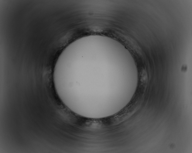 X0000102810559200809081111