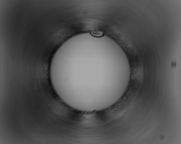 X0000102810560200809081111