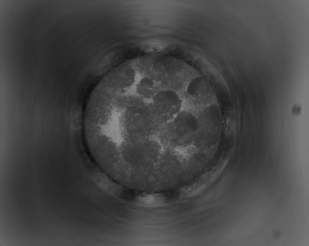 X0000102810561200809081111