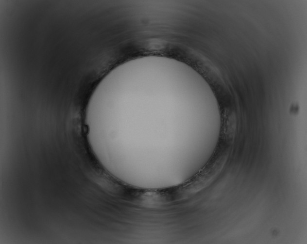 X0000102810562200809081111