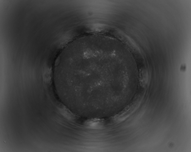 X0000102810563200809081111