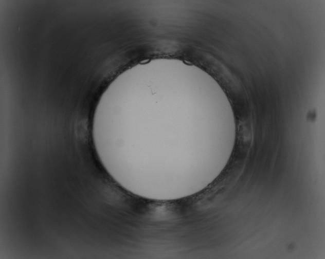 X0000102810564200809081111