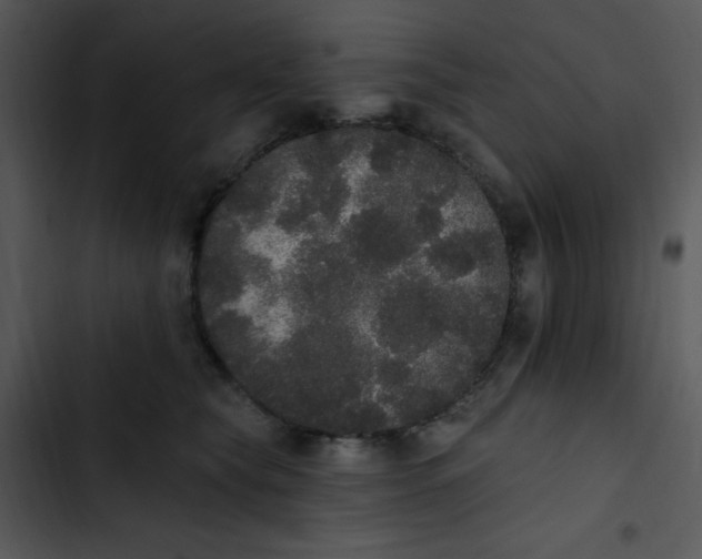 X0000102810565200809081111