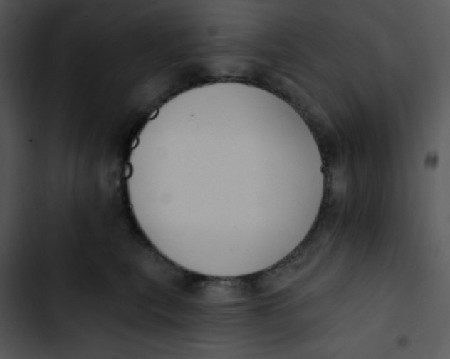 X0000102810567200809081111