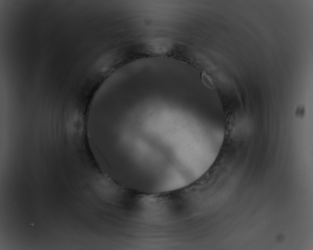 X0000102810568200809081111