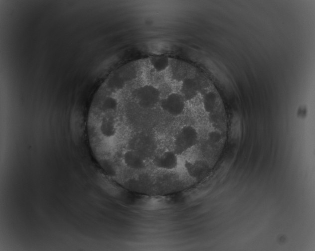 X0000102810569200809081111