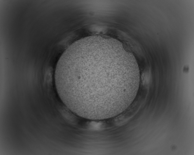 X0000102810570200809081111