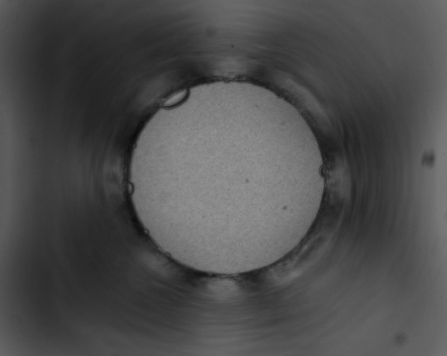 X0000102810572200809081111