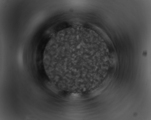 X0000102810573200809081111