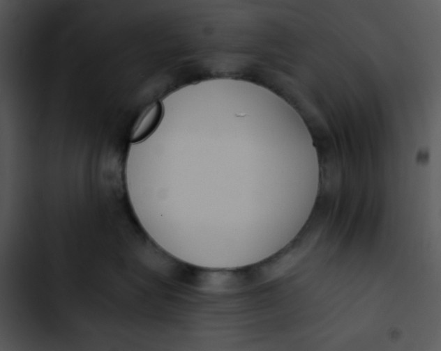 X0000102810575200809081111