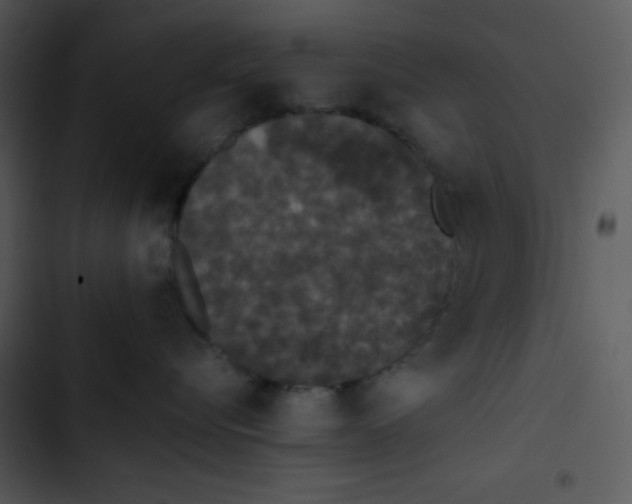 X0000102810576200809081111