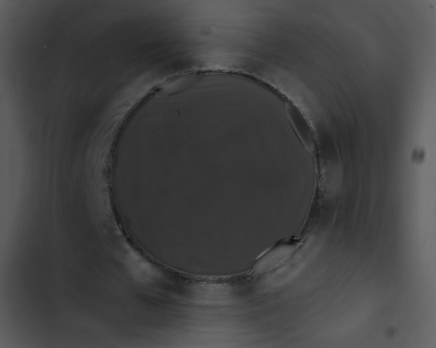 X0000102810577200809081110