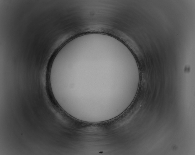 X0000102810578200809081110