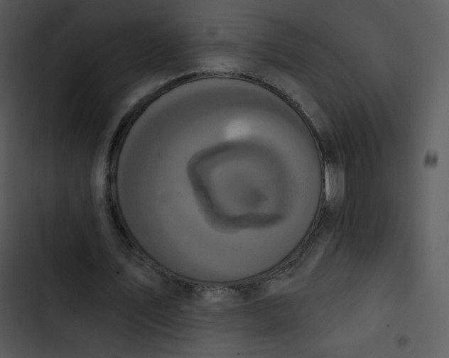 X0000102810579200809081110