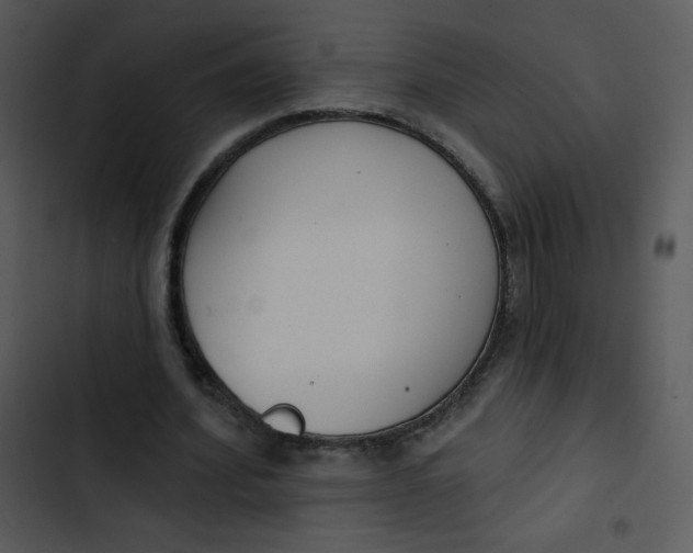 X0000102810580200809081110