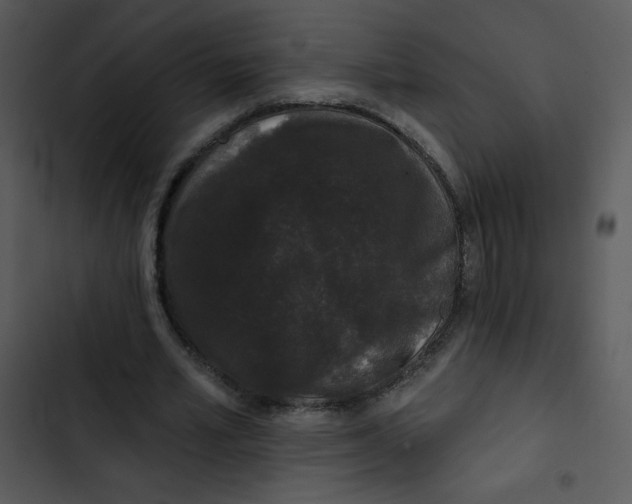 X0000102810581200809081110