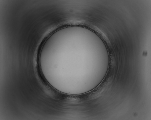 X0000102810582200809081110