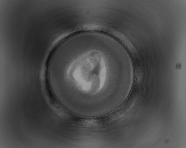 X0000102810583200809081110