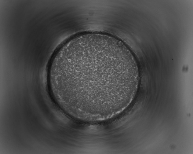 X0000102810584200809081110