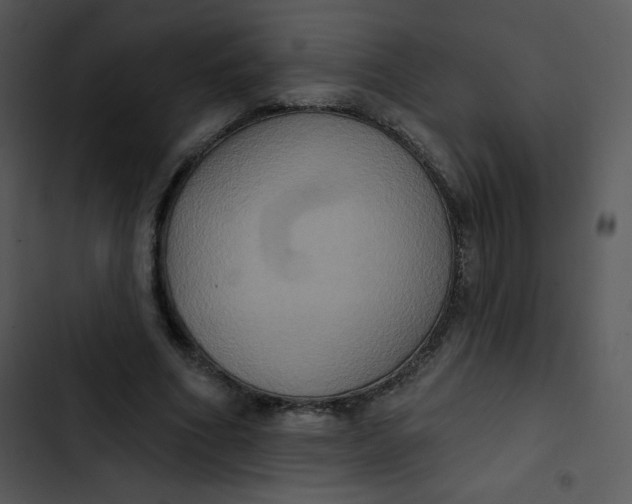 X0000102810586200809081110