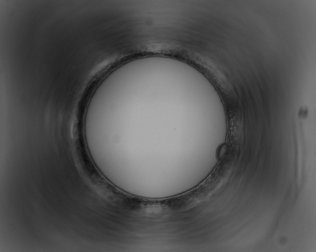 X0000102810587200809081110