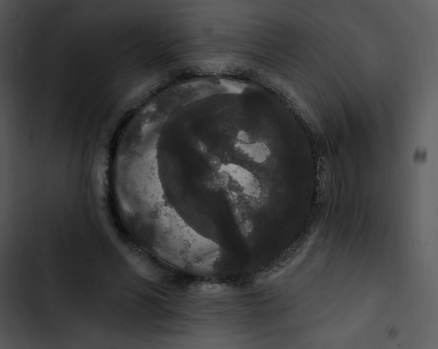 X0000102810590200809081110