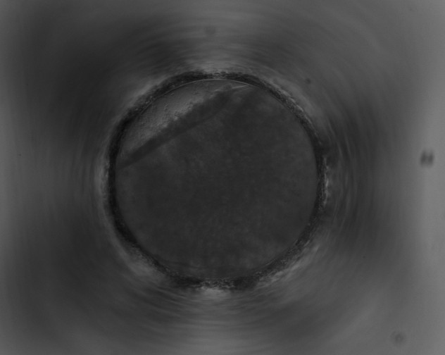 X0000102810592200809081110