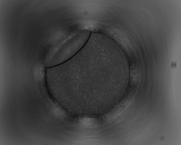 X0000102810593200809081110