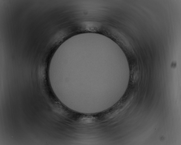 X0000102810595200809081110