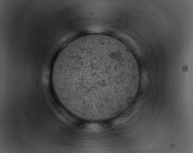 X0000102810596200809081110