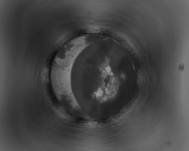 X0000102810598200809081110