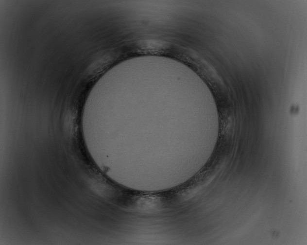 X0000102810599200809081110