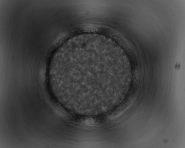 X0000102810600200809081110