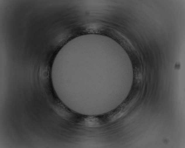 X0000102810603200809081110