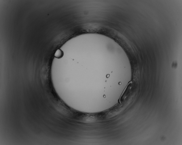 X0000102810604200809081110