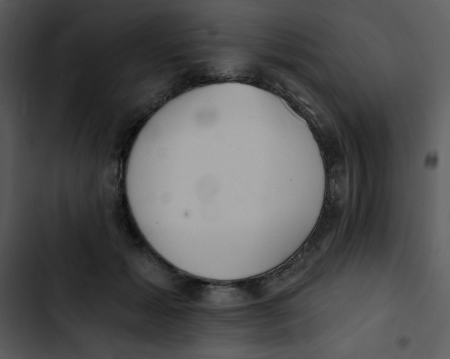 X0000102810605200809081110