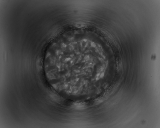 X0000102810606200809081110