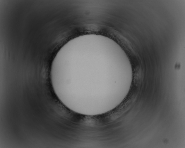 X0000102810608200809081110